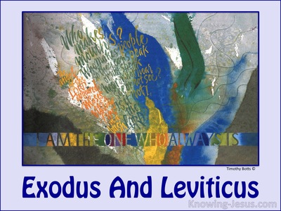 Exodus and Leviticus ?